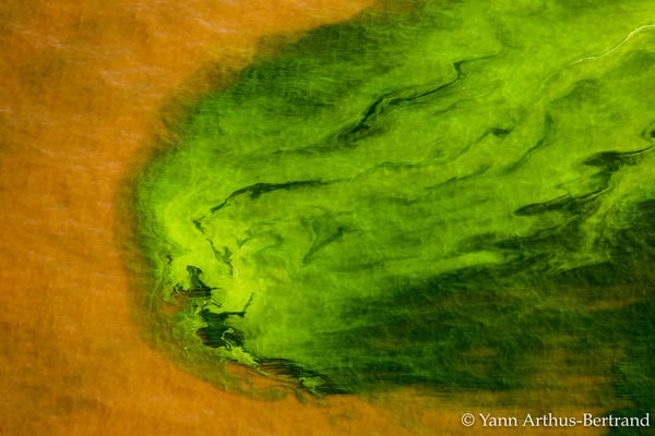 Yann Arthus-Bertrand