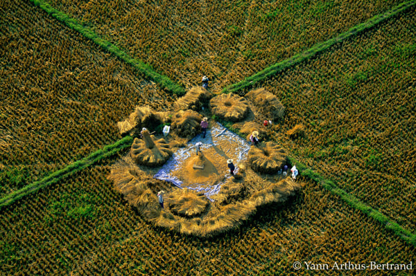 Work in the fields between Chiang Mai and Chiang Rai, Thailand - Yann Arthus-Bertrand